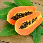 Papája Melónová (Carica papaya) - výška 40-50 cm, kont. C1.5L 